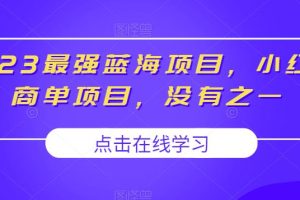 2023最强蓝海项目，小红书商单项目，没有之一【揭秘】