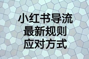 小红书导流最新规则应对方式【揭秘】