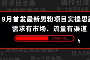 9月首发最新男粉项目实操思路-需求有市场，流量有渠道【揭秘】