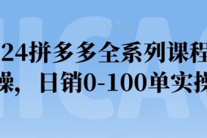 2024拼多多全系列课程实操，日销0-100单实操【必看】