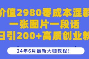 价值2980零成本混群一张图片一段话日引200+高质创业粉，24年6月最新大咖教程【揭秘】