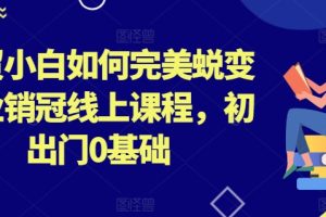 外贸小白如何完美蜕变行业销冠线上课程，初出门0基础