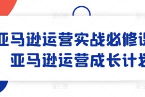 亚马逊运营实战必修课，亚马逊运营成长计划