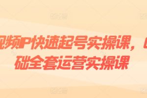 短视频IP快速起号实操课，0基础全套运营实操课，爆款内容设计+粉丝运营+内容变现