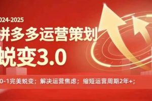 2024-2025拼多多运营策略蜕变3.0，0~1完美蜕变，解决信息焦虑