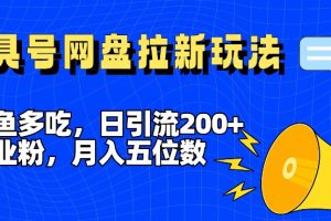 一鱼多吃，日引流200+创业粉，全平台工具号，网盘拉新新玩法月入5位数【揭秘】