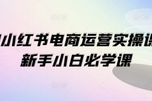 1V1小红书电商运营实操课，新手小白必学课