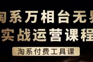 淘系万相台无界实战运营课，淘系付费工具课