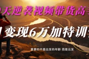 30天逆袭视频带货高手，单月变现6万加特训营-麦子甜