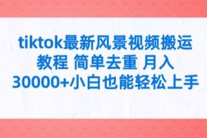 tiktok最新风景视频搬运教程 简单去重 月入3W+小白也能轻松上手【揭秘】