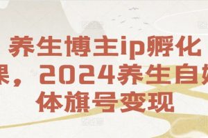 养生博主ip孵化课，2024养生自媒体旗号变现