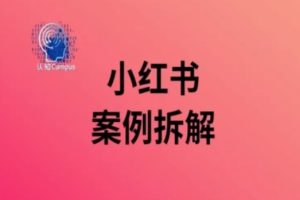 小红书案例拆解，深度解读小红书40万粉