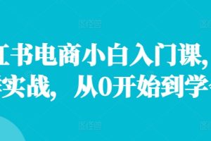 小红书电商小白入门课，店群实战，从0开始到学会