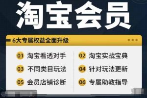 淘宝会员【淘宝所有课程，全面分析对手】，初级到高手全系实战宝典