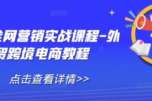 外贸全网营销实战课程-外贸跨境电商教程