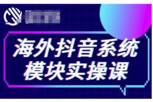 海外抖音Tiktok系统模块实操课，TK短视频带货，TK直播带货，TK小店端实操等