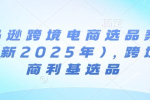 亚马逊跨境电商选品案例(更新2025年)，跨境电商利基选品