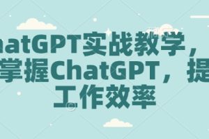 ChatGPT实战教学，快速掌握ChatGPT，提高工作效率