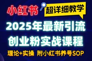 2025年最新小红书引流创业粉实战课程【超详细教学】小白轻松上手，月入1W+，附小红书养号SOP