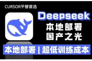 2025年deepseek R1 大型模型本地安装部署(文件+教程)本地部署，超低训练成本