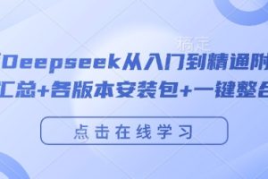 完整版Deepseek从入门到精通附最全指令汇总+各版本安装包+一键整合包