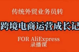 跨境电商速卖通运营课，​运营方法论+后台实操，逻辑清晰